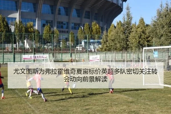 尤文图斯为弗拉霍维奇夏窗标价英超多队密切关注转会动向前景解读 | kaiyun